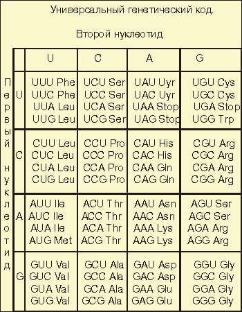 Генетического кода таблица